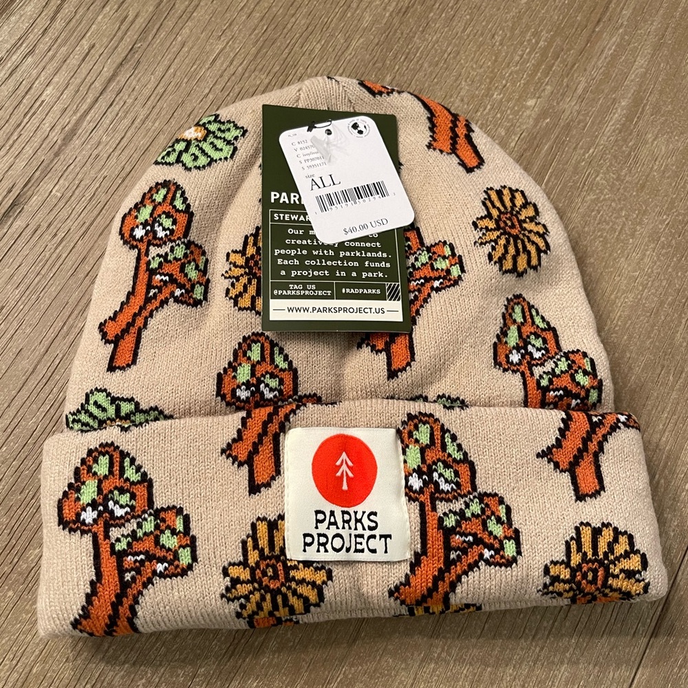 Free People Beanie Hat